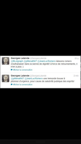 twitter,jean-luc romero,homophobie,carolien mécary