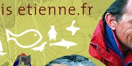 Logo jl etienne.jpg