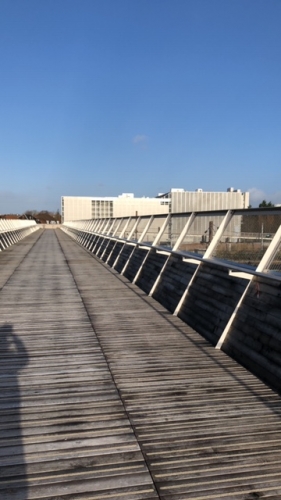 étoile cinémas,jean luc romero michel,hauts de france,béthune