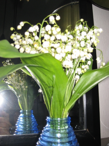 Muguet JLR 2009 001.jpg