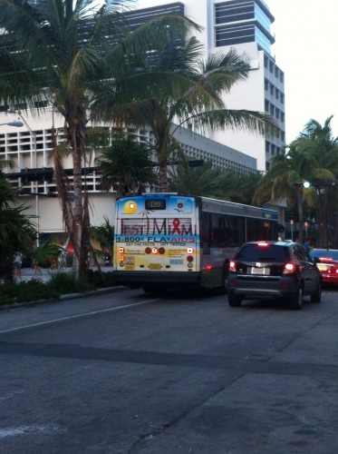 busvihmiami.JPG