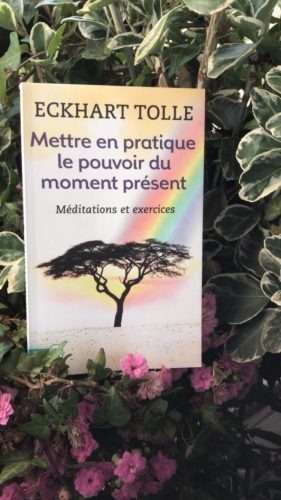 lecture,jean-luc romero,méditation