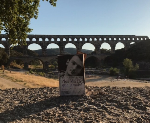 CovPontDuGard.JPG