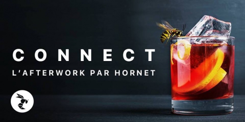 CONNECT HORNET 22 JUIN.jpg