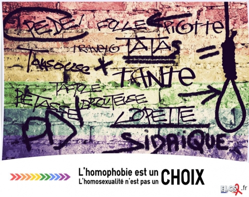 AfficheHomophobie cp.jpg